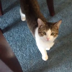 Meet your Posher, Lauralee